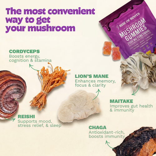 Organic Mushroom Gummies